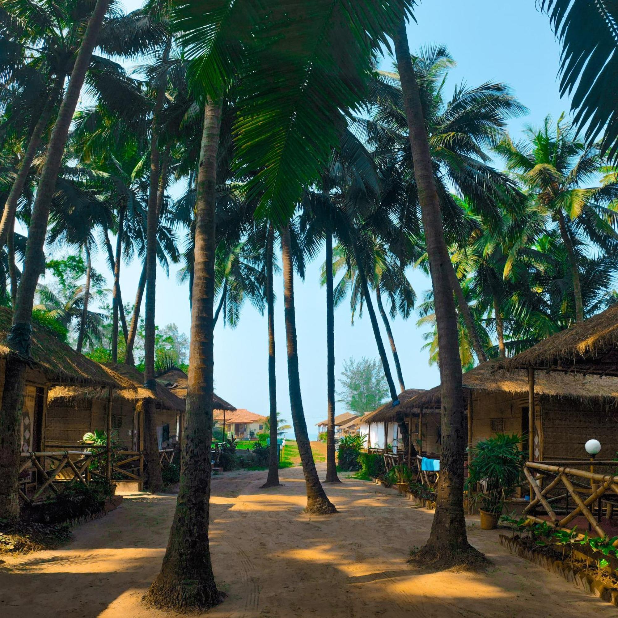 Dunes Holiday Village マンドレム エクステリア 写真